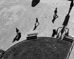 From the tower
