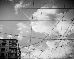 Web of cables