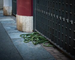 Green hose