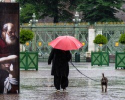 Walking dog in the rain