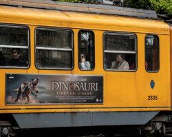 On the orange tram