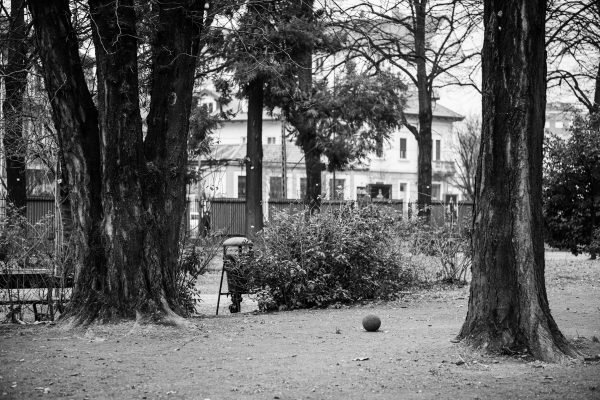 6 January 2025  The laughter and movement of a past hour dissolve into a single, still coordinate.