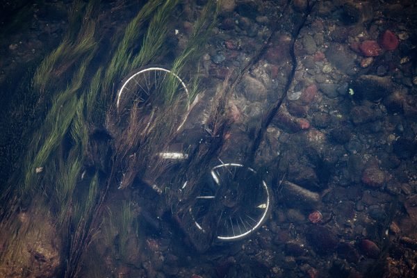 09:55  Resting below the surface ripples, a silent frame becomes part of the landscape, holding an unwritten story in the cold water.